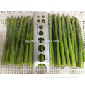 frozen green asparagus wholesale price of good quality